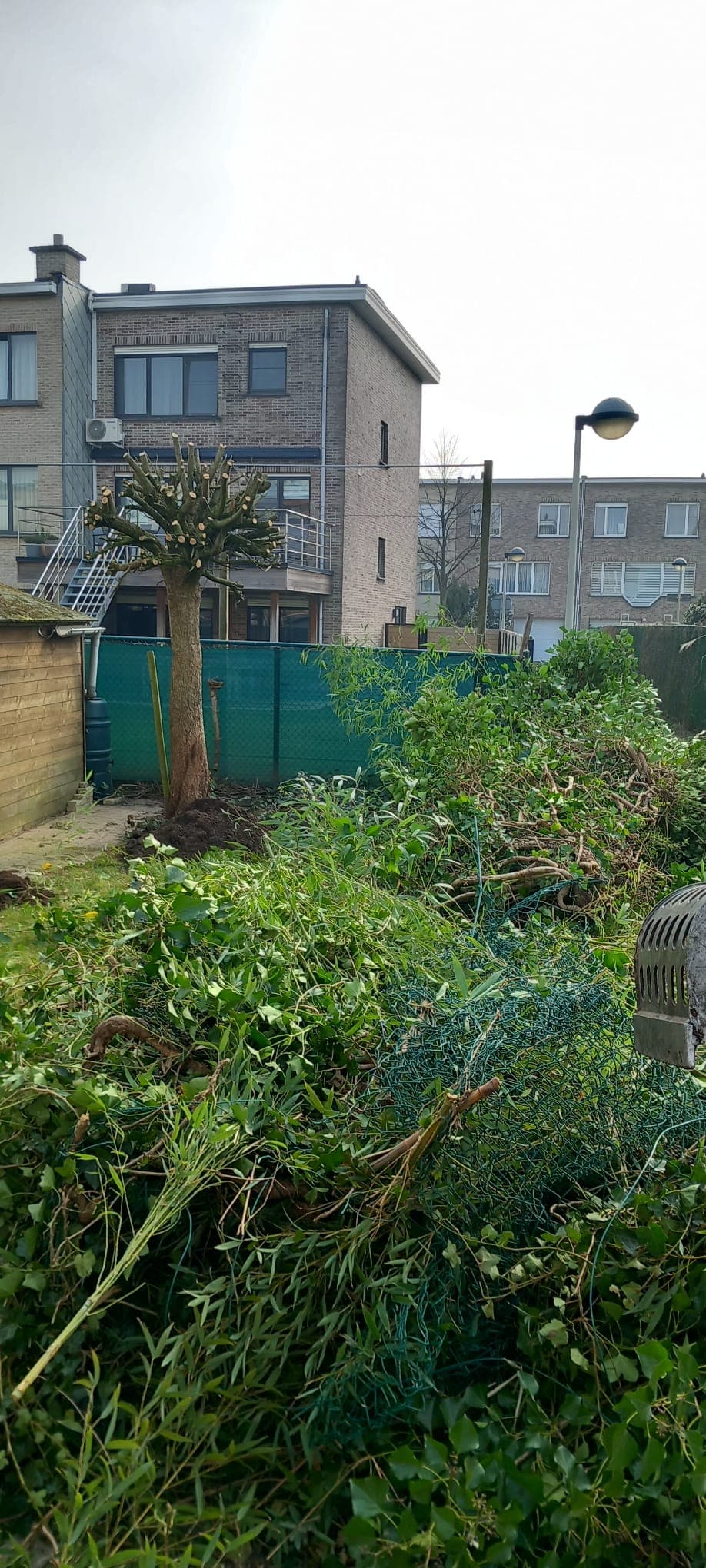 Uitdoen van bomen en gewassen